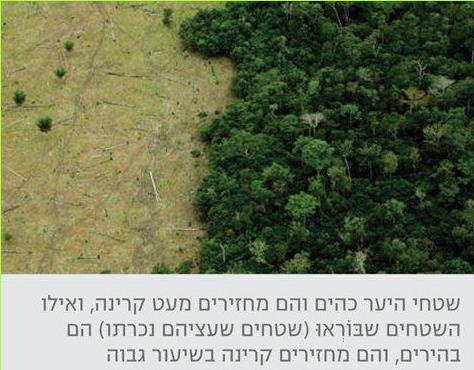 שטחי היער כהים והם מחזירים מעט קרינה, ואילו השטחים שבוראו (שטחים שעציהם נכרתו) הם בהירים, והם מחזירים קרינה בשיעור גבוה